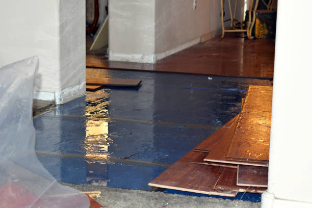 Professional Water Damage Restoration technician working in Plainfield, OH